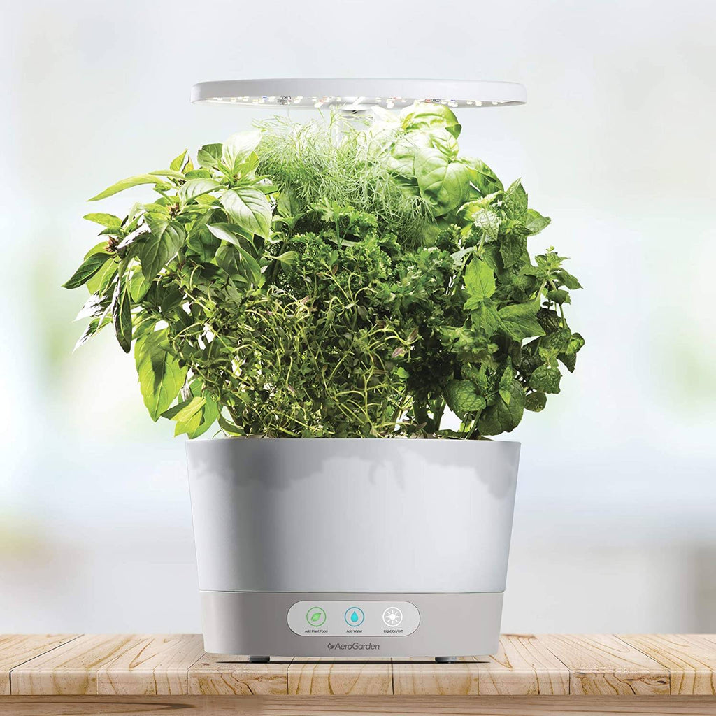 AeroGarden Harvest 360 â Indoor Garden with LED Grow Light, Round, Compact Design, White