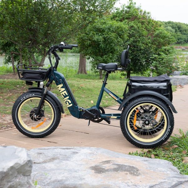20-Inch 48V 750W Foldable Fat-Tire Electric Trike, 330-Lb. Capacity