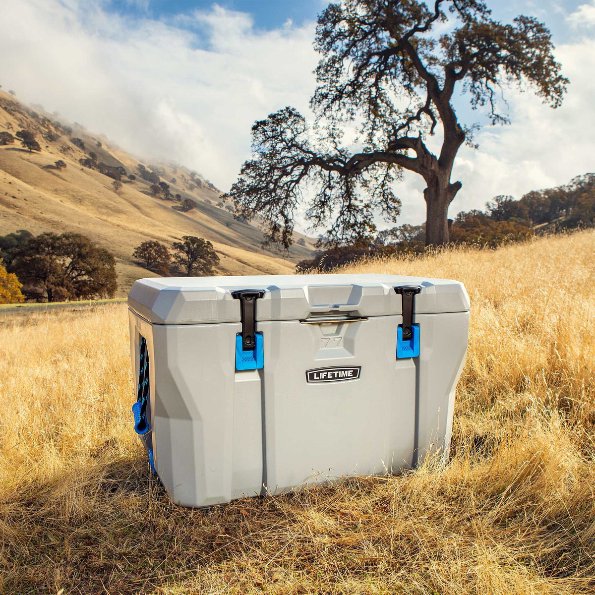 Lifetime 77 Quart High Performance Cooler (90903)💝 Last Day For Clearance