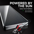 Schumacher Solar Battery Charger and Maintainer with Solar Charge Controller- 15 Watts, 12V