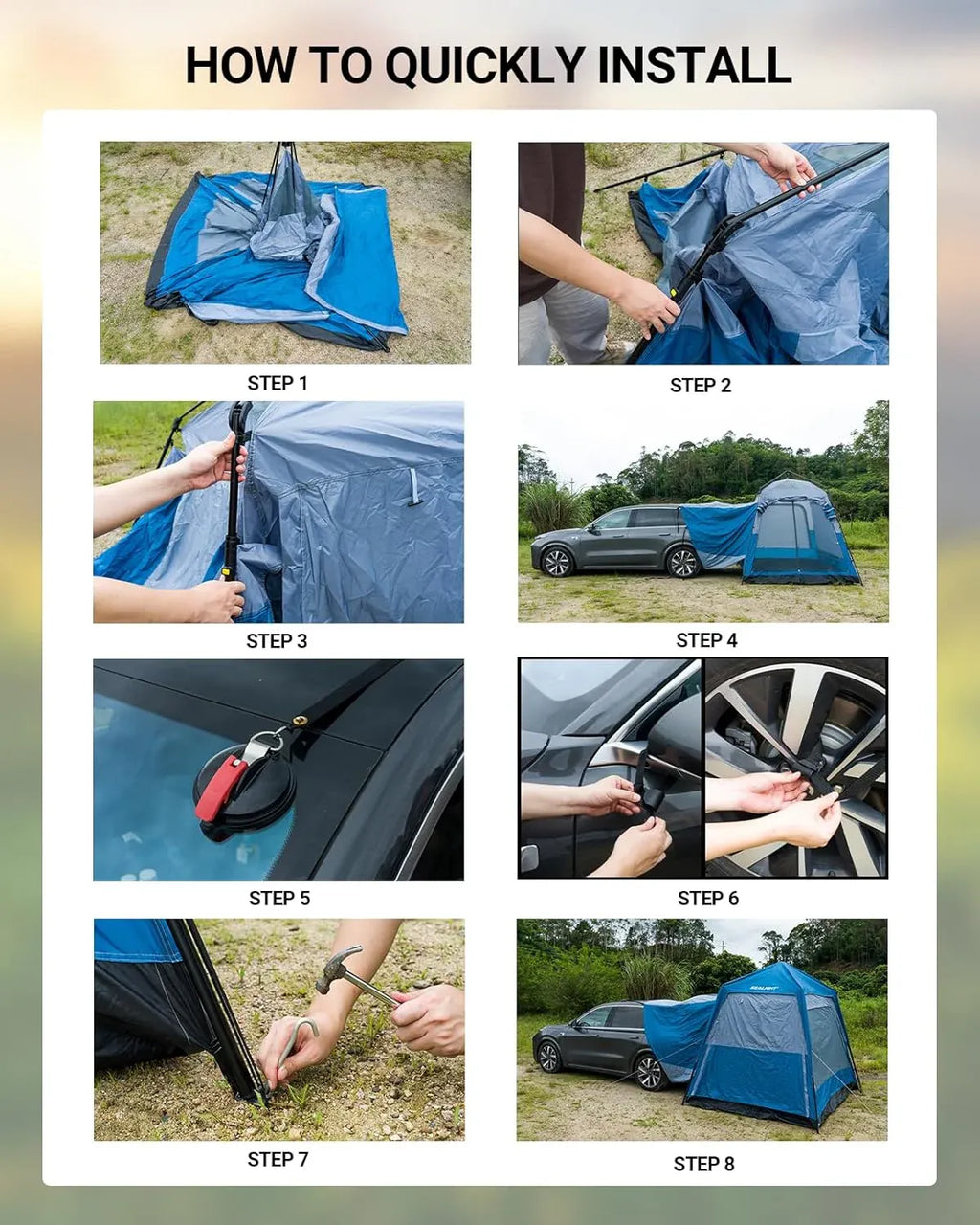 Tents 4-6p
