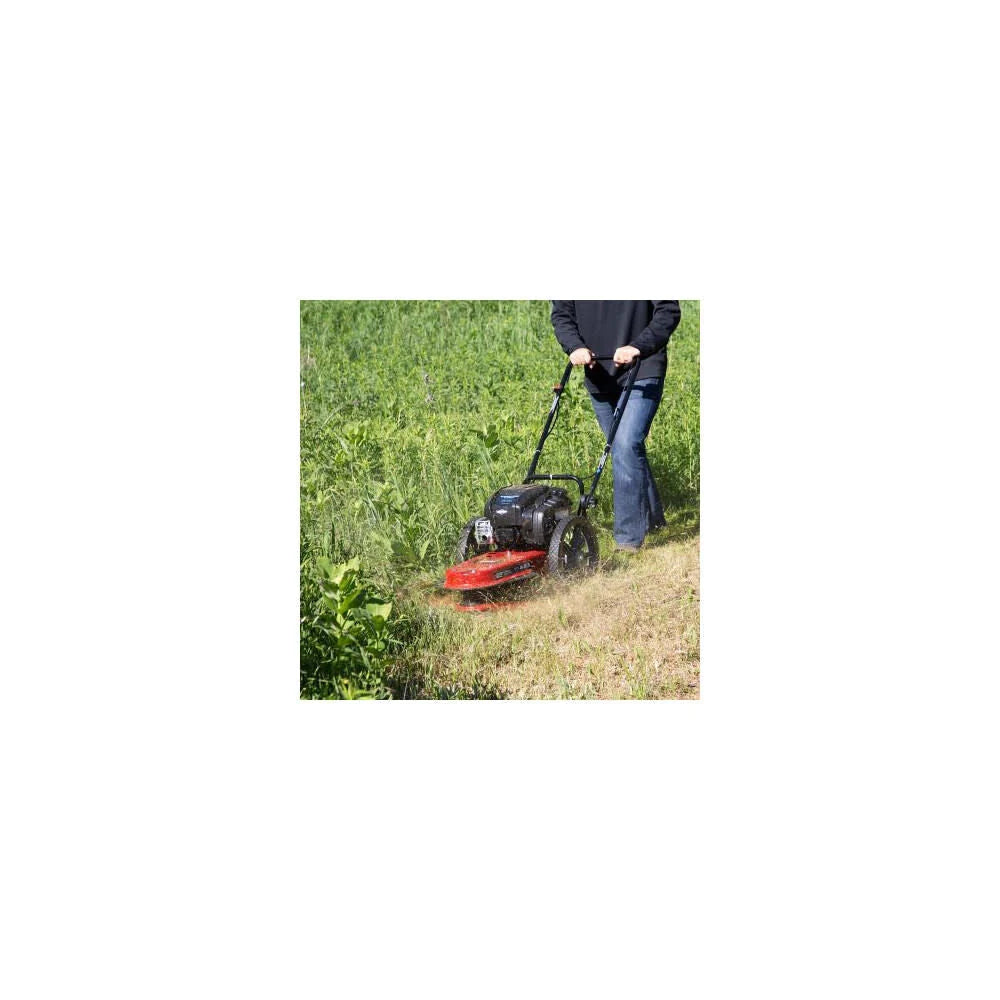 Toro String Mower Briggs and Stratton 163cc 4 Cycle 22 58620 from Toro