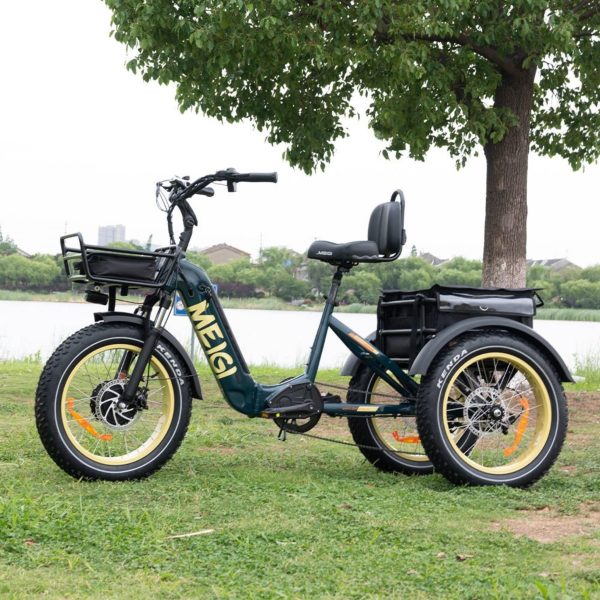 20-Inch 48V 750W Foldable Fat-Tire Electric Trike, 330-Lb. Capacity