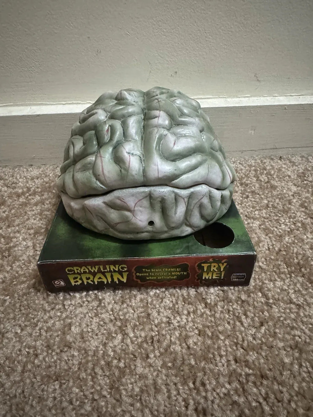 Gemmy Halloween Animated Crawling Brain 2007 Working Restored With Box
