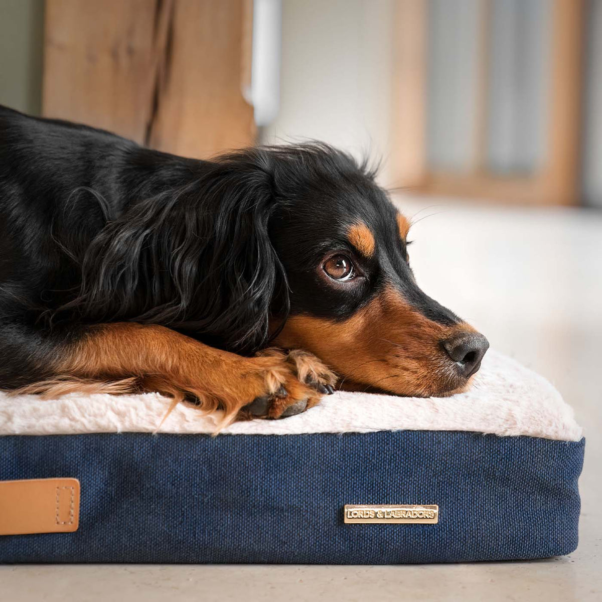 Orthopaedic Mattress in Denim Variant 2