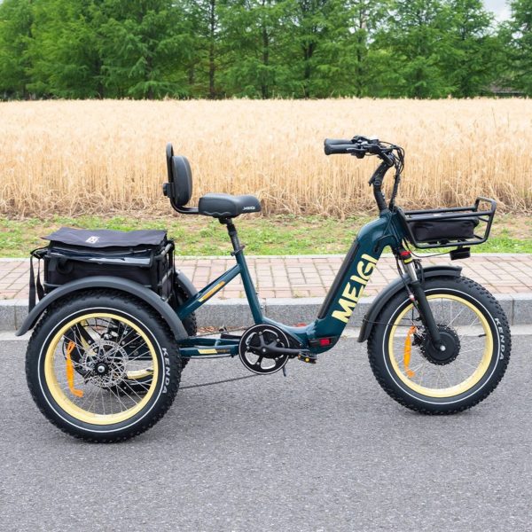 20-Inch 48V 750W Foldable Fat-Tire Electric Trike, 330-Lb. Capacity