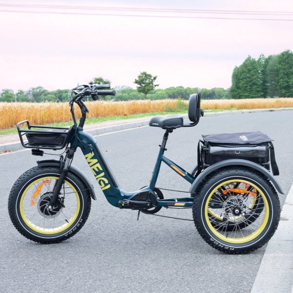 20-Inch 48V 750W Foldable Fat-Tire Electric Trike, 330-Lb. Capacity