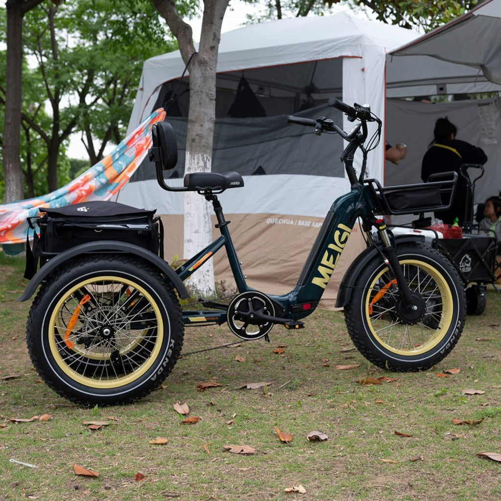 20-Inch 48V 750W Foldable Fat-Tire Electric Trike, 330-Lb. Capacity