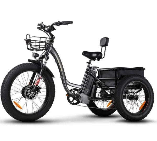 🏆Best Value – Electric Bike[750W]